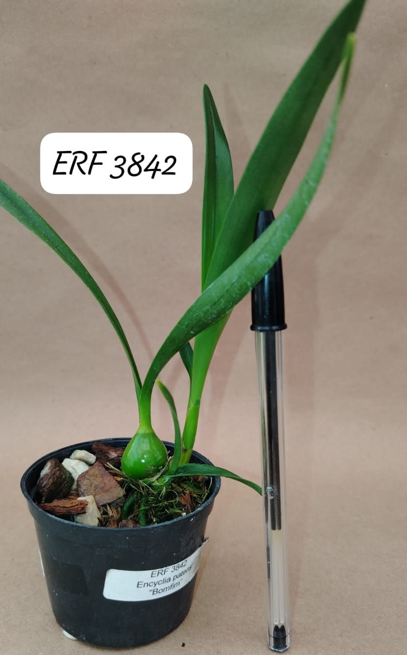 e2ff7289-da5b-433e-a28d-4e231205eb0d